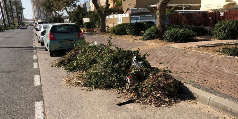 מתכננים להוציא פסולת וגזם באור עקיבא לקראת חג הפסח? זה בשבילכם