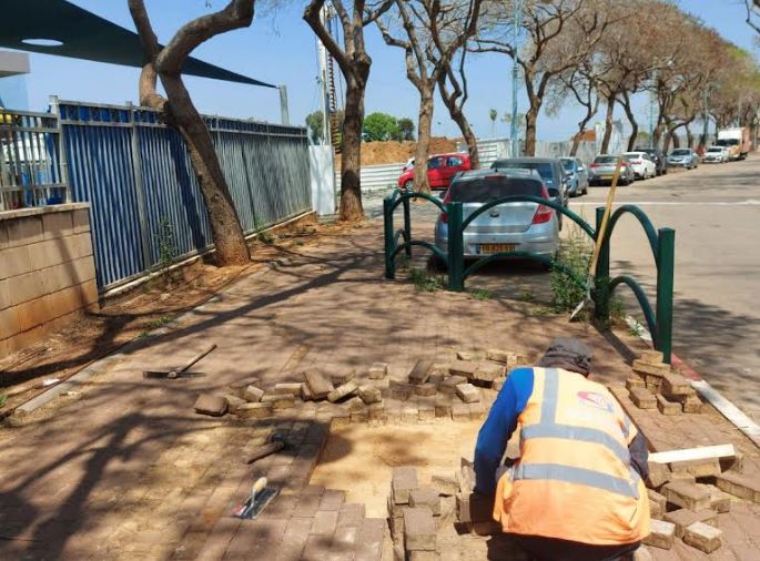 מכת שורשים: זה מה שעושים בעיריית חדרה נגד מפגע שורשי העצים במדרכות בעיר