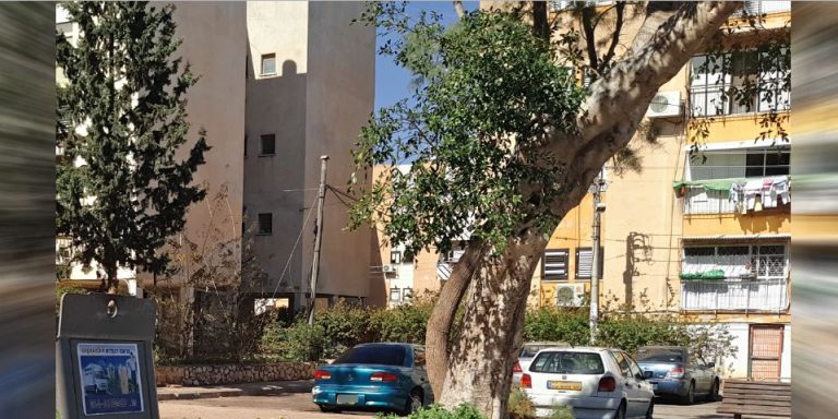 מתייבשים בתור: כמה דירות פנויות בדיור הציבורי יש בחדרה והסביבה?