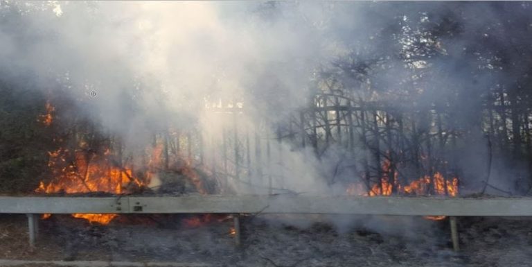 כבאים הוזעקו לשריפה בשטח פתוח בכביש 9 ליד מאור [📸]
