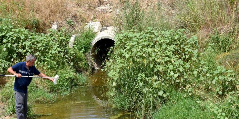 עיריית אור עקיבא הואשמה בהזרמת ביוב לנחל עדה