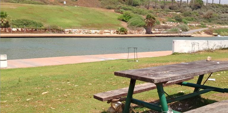 סיורים, אגמון קהילתי ואכיפה סביבתית: התוכנית להפוך את נחל חדרה ללב הירוק של העיר