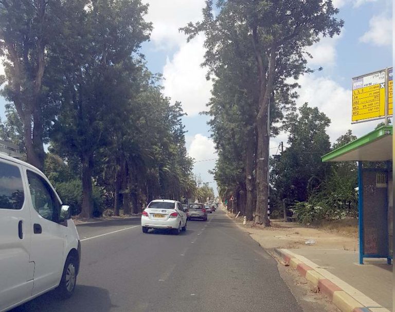 הסוף לסיוט הפקקים? כביש 652 החדש ישנה את חוקי המשחק בפרדס חנה, קיסריה והסביבה
