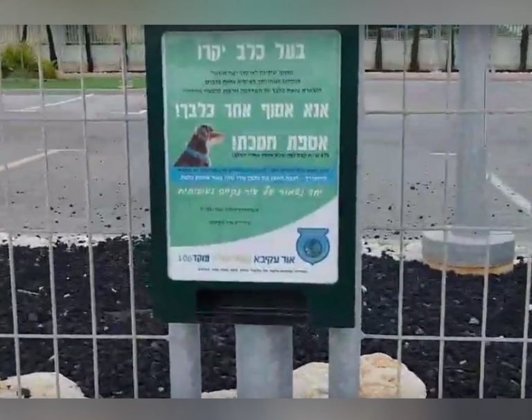 סגן ראש העיר מעדכן: גינת כלבים חדשה בצפון אור עקיבא ופתרון לבעיית הברחשים באור ים
