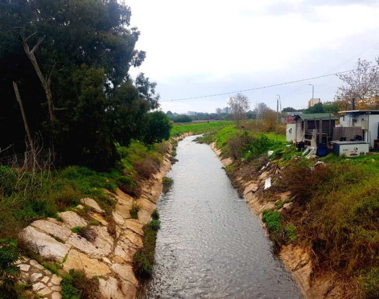 צפו: נחל עדה באור עקיבא בזרימה יפה של חורף בעקבות הגשמים [וידאו]