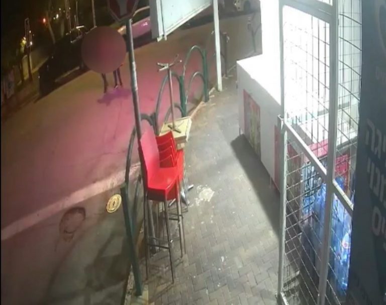 מצלמות האבטחה תיעדו: מנסה לגנוב בקבוקי מים מינרליים מפיצוצייה באור עקיבא [וידאו]