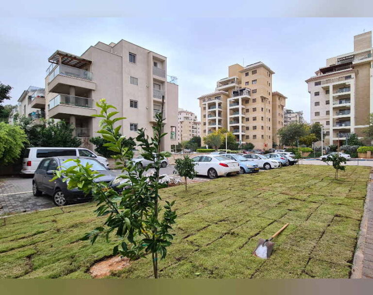 זינוק חד במחירי השכירות בפרדס חנה-כרכור; מה המצב בחדרה ובאור עקיבא?