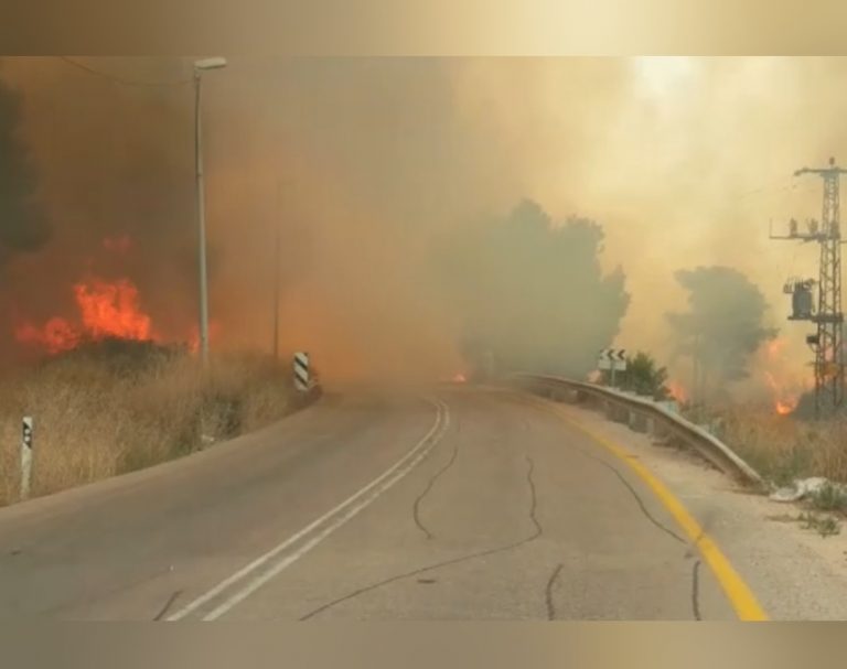 דוקטור – תציל אותי: רופא מוכר חשוד כי הצית את יערות הכרמל