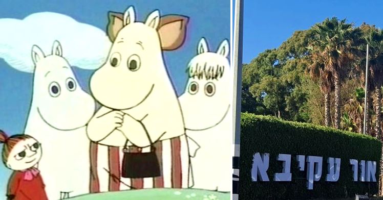 מי מחפש את הבית של "המומינים" להשכרה באור עקיבא?