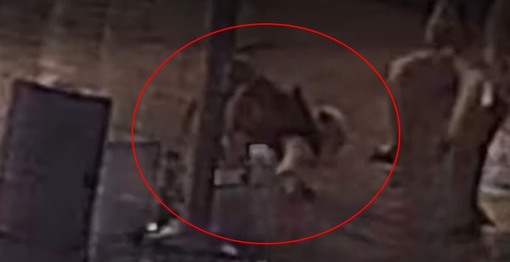 האירוע שמסעיר את שכונת אור ים באור עקיבא: כלב הותקף למוות על ידי כלב משוטט [וידאו]