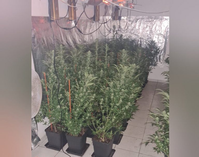 12.5 קילוגרמים של מריחואנה; תושב פרדס חנה-כרכור נעצר