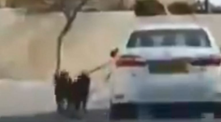 בעלי כלבים בחדרה? כדאי מאוד שתשימו לב – כדי שלא תקבלו קנסות