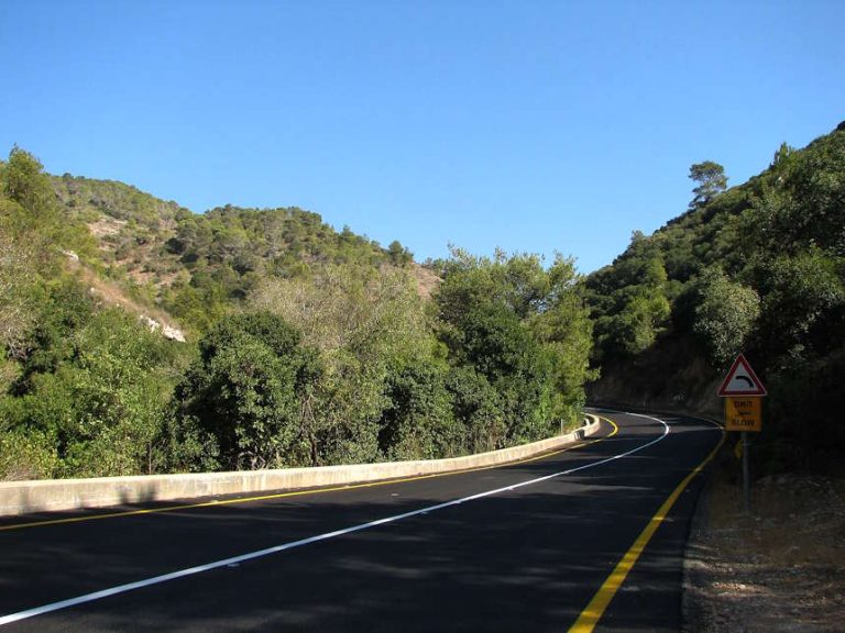 קר אבל ירוק מתמיד: 5 מסלולי טיול לסוף שבוע של הפוגה בגשמים – בהר הכרמל