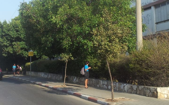 החלטה דרמטית של בית המשפט בפרויקט תמ"א 38 בכרכור שנדחה על ידי הועדה המחוזית