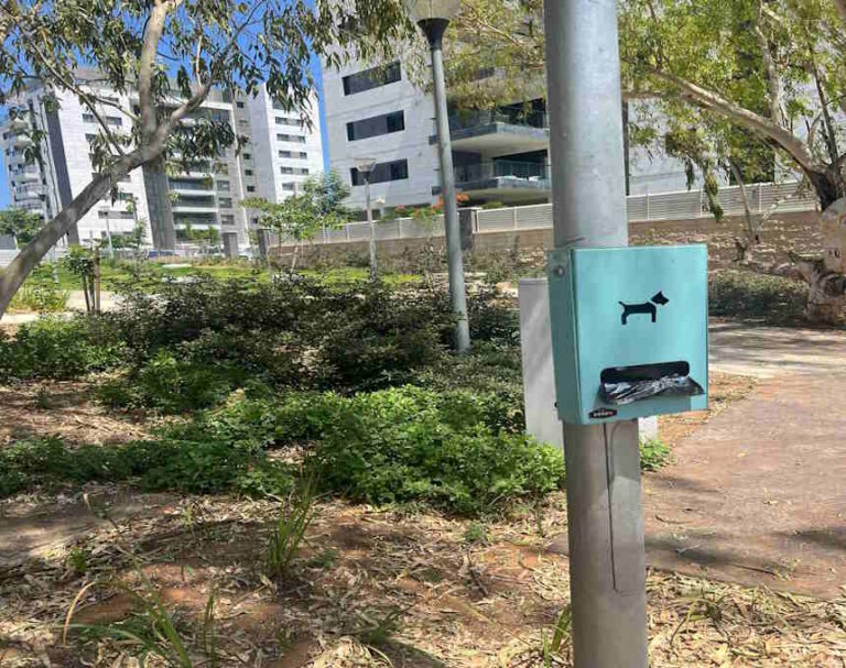 בדרך לאישור הכנסת: עכשיו יהיה יותר קל להטיל קנסות בעקבות הצואה של הכלבים שלכם