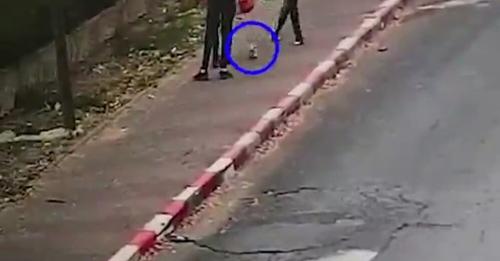 במרכז הארץ: 3 נערים נצפו מבזים ומשחיתים את דגל ישראל [וידאו]