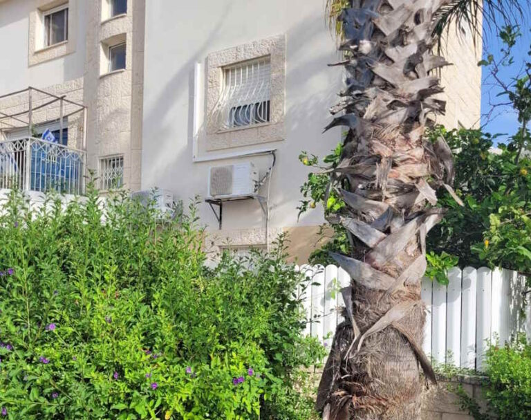 איך הפך עץ דקל למפגע עבור ביתה של תושבת יהודה הלוי באור עקיבא?