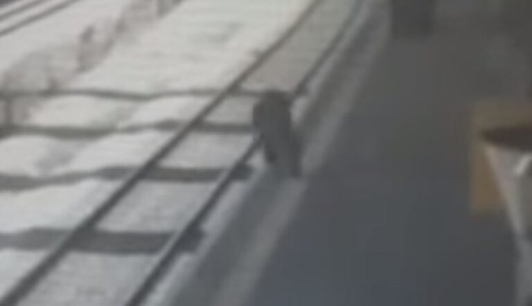 נוסע תחת השפעת אלכוהול נפל אל פסי הרכבת בצפון [וידאו]