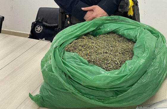 זו לא מסיבה: שמן, סם ועוגיות קנאביס נתפסו בפשיטה משטרתית בפרדס חנה