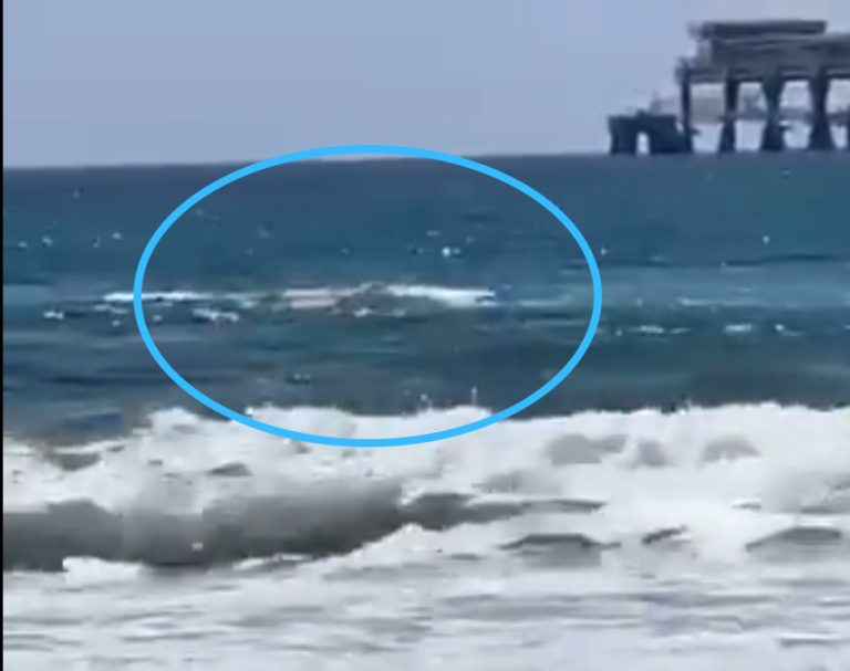 סוף עצוב: אותרו שרידי השחיין שהותקף על ידי כרישים ליד נחל חדרה
