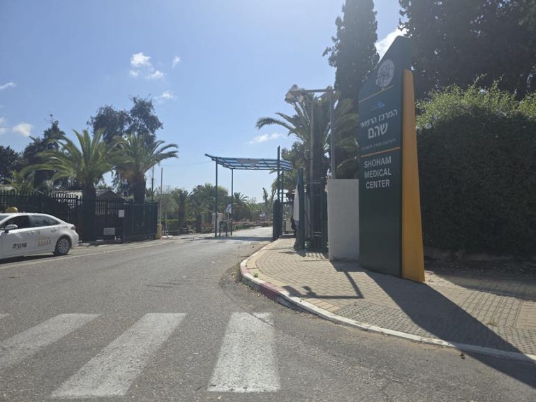 תמונות עצובות משוהם בפרדס חנה: תושבים תיעדו עצים אחרי הגיזום – זה ההסבר למהלך