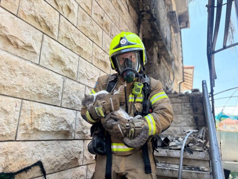 בצהרי היום: בעלי חיים חולצו מבית בוער בחדרה