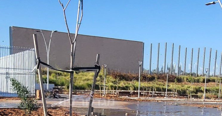 זהירות מעקיצות: סכנה בגן שעשועים באור עקיבא