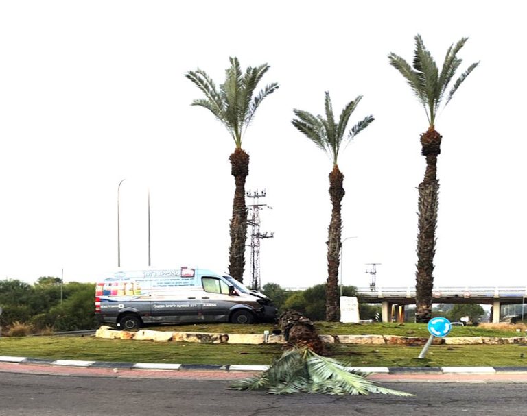 תאונות הדרכים העצמיות באור עקיבא | נהג רכב איבד שליטה במחלף – עלה על כיכר והפיל עץ דקל